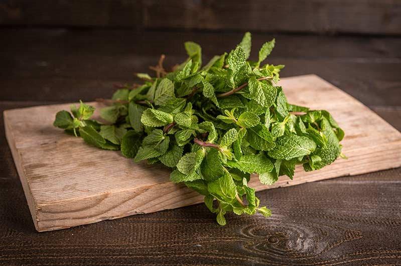 Munt Grote verse bos